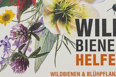Wildbienenhelfer – Wildbienen & Blühpflanzen, v. Anja Eder
